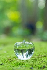 太陽のめぐみ